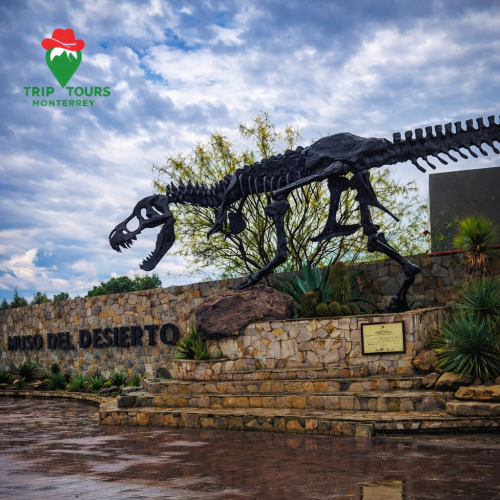 81C34C2C-0BD0-4E6B-9149-115B5A8AE472