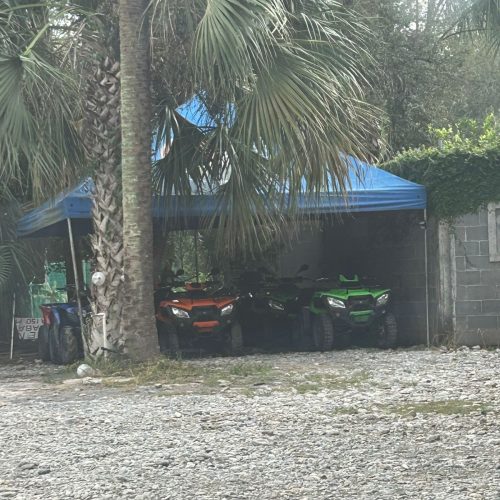 WhatsApp Image 2025-11-22 at 3.16.01 PM