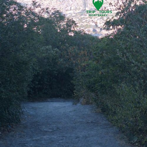 ¡Aventúrate con nosotros y conoce Monterrey como nunca antes!