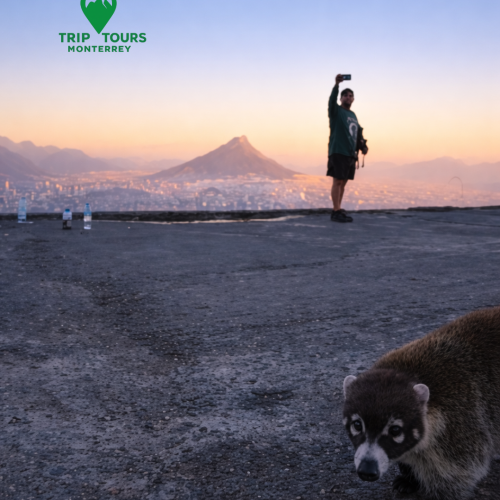 ¡Aventúrate con nosotros y conoce Monterrey como nunca antes!